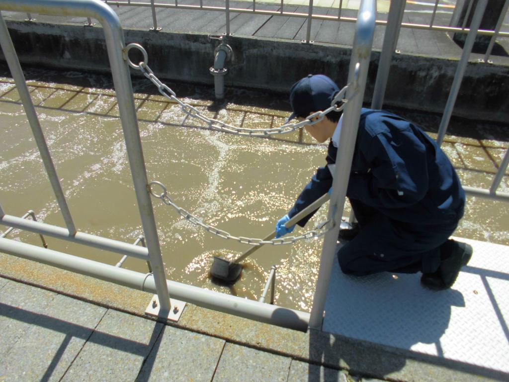 反応タンクでの採取の様子